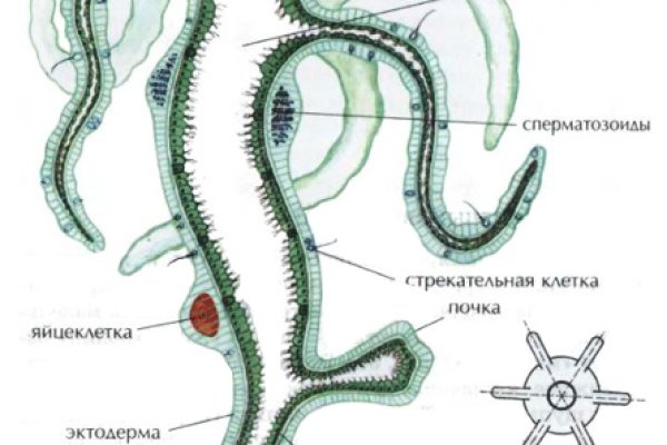 Кракен даркнет только через тор