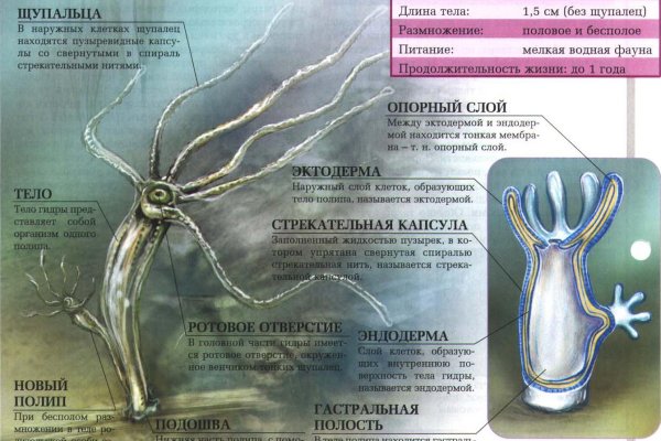 Кракен не работает тор