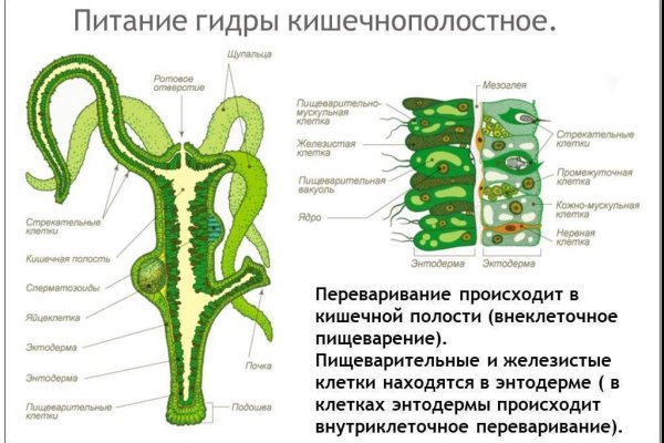 Кракен сайт kraken dark link