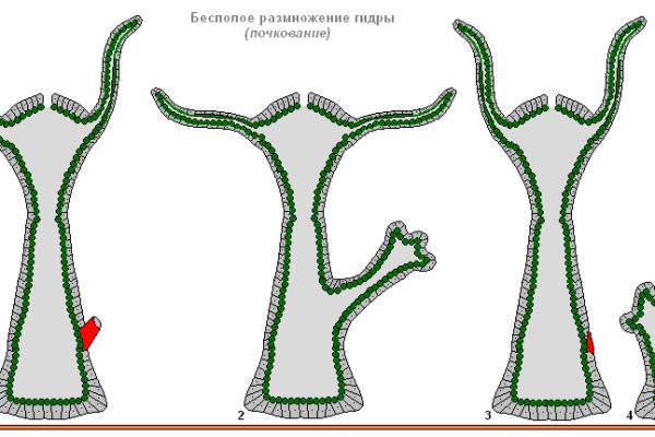 Кракен впн