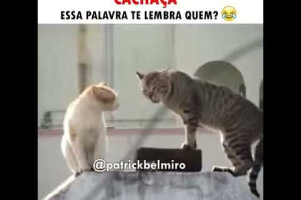 Сайт кракен зайти