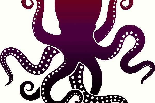 Kraken official