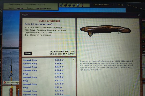 Какой нужен тор чтоб зайти в кракен