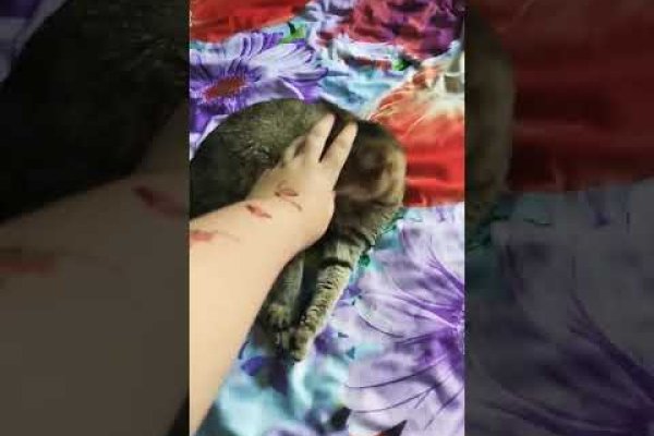 Восстановить аккаунт кракен