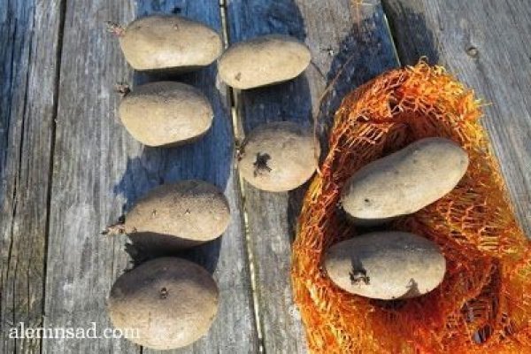 Кракен тор что это