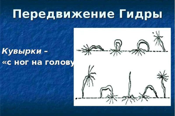 Кракен зеркало