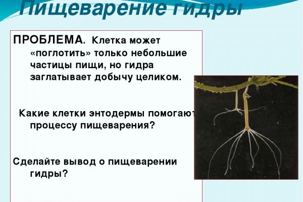 Krn 2at